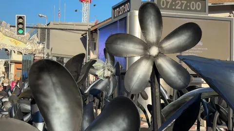 ดราม่า "เทศบาลนครเชียงใหม่" ใช้สีดำพ่น "ดอกไม้ประดับ" ตกแต่งงาน "ยี่เป็ง 2568"