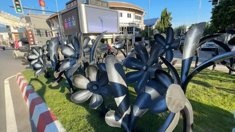 เทศบาลแจงดราม่าดอกไม้สีดำงานยี่เป็งเชียงใหม่ 2568 ยังตกแต่งไม่เสร็จ