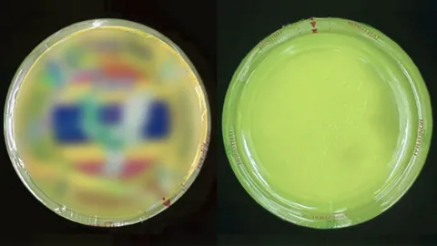 จุลินทรีย์ปนเปื้อน "ยาดมหงส์ไทย" อย.ตรวจพบผิด 3 ข้อหา เปิดใช้ต้องหมดใน 3 เดือน