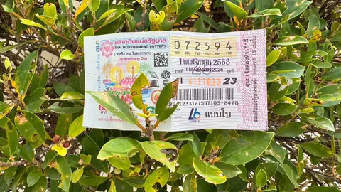 10 อันดับ "เลขเด็ด" 1/11/68 พ่อค้าหวยบอกงวดนี้ "เลขดัง" ขายดีจนไม่มีเหลือแล้ว