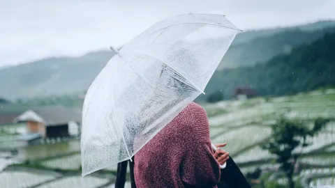 อุตุฯ ประกาศฉบับ 8 เช็กรายชื่อจังหวัดเตรียมรับมือ "อากาศแปรปรวน" เฝ้าระวังฝนตก