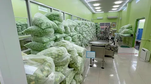 ยึดยาดมสมุนไพรแบรนด์ดัง 2.35 ล้านชิ้น สธ.-ตร.ลุยค้น บริษัทแอบตั้งโรงงานเถื่อน