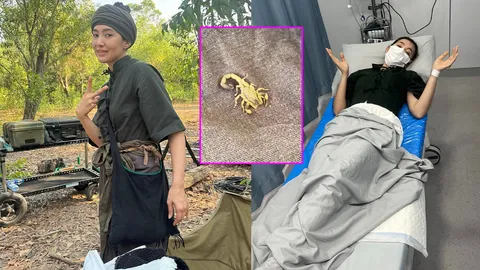 เบลล่า เล่าเหตุการณ์ระทึก โดนแมงป่องต่อยกลางกองถ่าย จนต้องเข้าห้องฉุกเฉิน รพ.