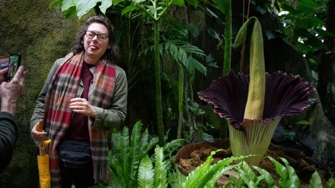 ดอกซากศพบานสะพรั่งรับฮาโลวีน คนแห่ชมในสวนพฤกษศาสตร์นิวยอร์ก