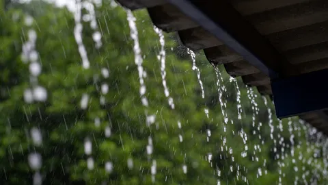 อุตุฯ ประกาศฉบับสุดท้าย "พายุคัลแมกี" เช็กจังหวัดรับมือฝนตกหนัก 8-9 พ.ย. 68