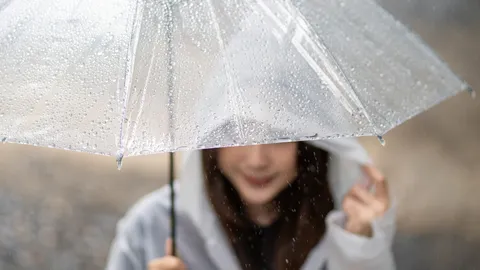 พายุฟงวองใครตั้งชื่อ เช็กที่มา พร้อมเส้นทางพายุและสถานการณ์ล่าสุด