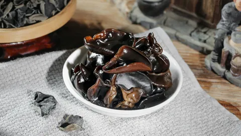 เปิดสรรพคุณ เห็ดหูหนู มีประโยชน์ต่อร่างกายอย่างไร ทำเมนูอะไรได้บ้าง