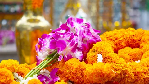 คาถาไหว้เจ้าที่ ไหว้ศาลพระภูมิ เสริมสิริมงคล ชีวิตราบรื่น เรียกโชคลาภ