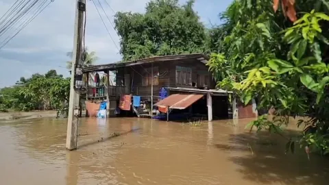 ชาวบ้านยางตาลอ่วม น้ำเจ้าพระยาเอ่อล้น กระทบบ้านประชาชนกว่า 200 หลัง