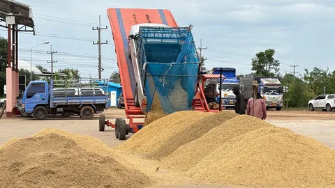 ตลาดข้าวคึกคัก ราคาข้าวหอมดีดตัวแรง แตะ 16,000 บาทต่อตัน หลัง นบข. ใช้มาตรการดูดซับตรงจุด