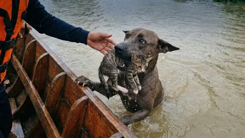 วิธีสังเกตภาพ AI ตั้งสติ รู้ทันก่อนแชร์ภาพปลอม