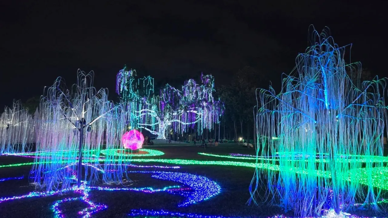 Chiang Mai Flower Festival 2026: Where and When to Enjoy the Year-End Bloom