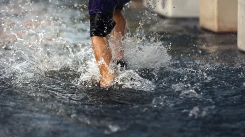 เว็บเช็กรายชื่อผู้อพยพน้ำท่วมหาดใหญ่ 2568 อัปเดตล่าสุดรอดปลอดภัยแล้ว