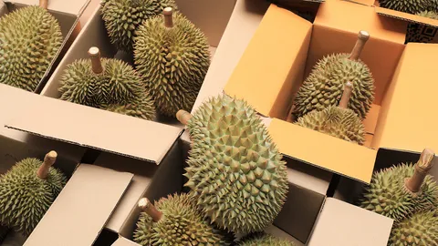 จีนใช้ AI ตรวจคุณภาพทุเรียน