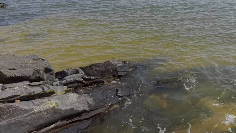 ตรวจสอบแล้ว "น้ำทะเลเปลี่ยนสี" เป็นสีน้ำตาลที่ จ.สงขลา ศวทล. ยันไม่เป็นอันตราย