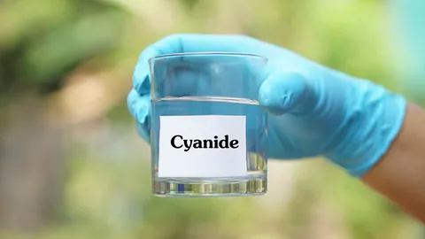 แอม ไซยาไนด์ คดีฆาตกรรมต่อเนื่อง ถึงการเสียชีวิตของ ณัฐวุฒิ ปงลังกา นักข่าวช่องดัง