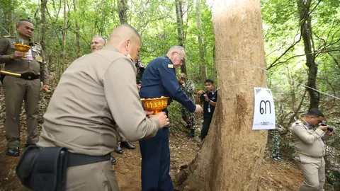 บวงสรวงปฐมฤกษ์ ตัดไม้จันทน์หอม อุทยานฯ กุยบุรี เพื่อสร้างพระโกศ - พระหีบไม้จันทน์