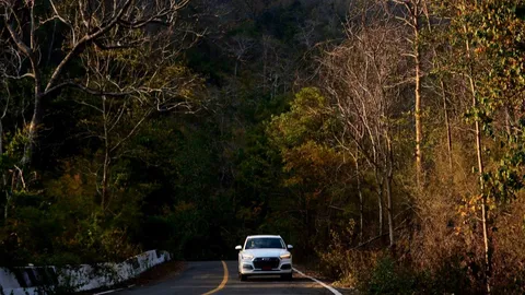 ทางลัดอันน่าขนลุก ตำนาน ผีหวงทาง ช้างหวงถิ่น ทางหลวงชนบท สาย กจ 3199 - 4041  