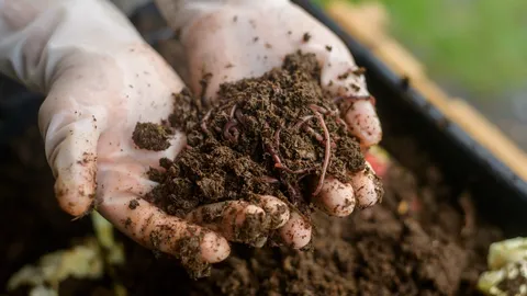 ฝันเห็นไส้เดือนเยอะมาก ดีหรือร้าย จะได้รับโชคจริงหรือไม่