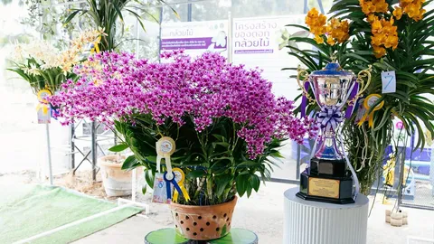 ฟลอร่า พาร์ค วังน้ำเขียว เปิดฉาก “ประกวดกล้วยไม้ระดับประเทศ”