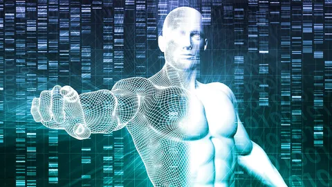 การกลับชาติมาเกิด