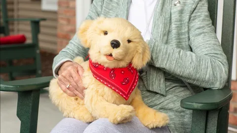 ส่องนวัตกรรม “หุ่นยนต์สัตว์เลี้ยงบำบัด” ผู้ช่วยฮีลใจผู้สูงอายุยุคดิจิทัล