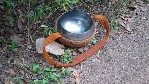 สลด ชาวบ้านพบศพพระสงฆ์ คาดถูกช้างทำร้ายขณะออกบิณฑบาต