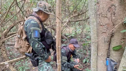 เจาะสมรภูมิเดือด “เนิน 350” จุดสูงข่มชี้ชะตา “ปราสาทตาควาย” ยุทธภูมิที่ไทยต้องยึดให้ได้