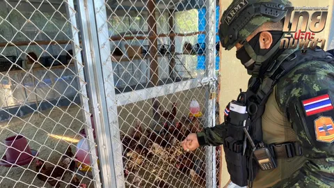 ทุกชีวิตมีความหมาย "กกล.บูรพา" ส่งกำลังพลให้อาหาร-ดูแลสัตว์เลี้ยงชาวบ้าน
