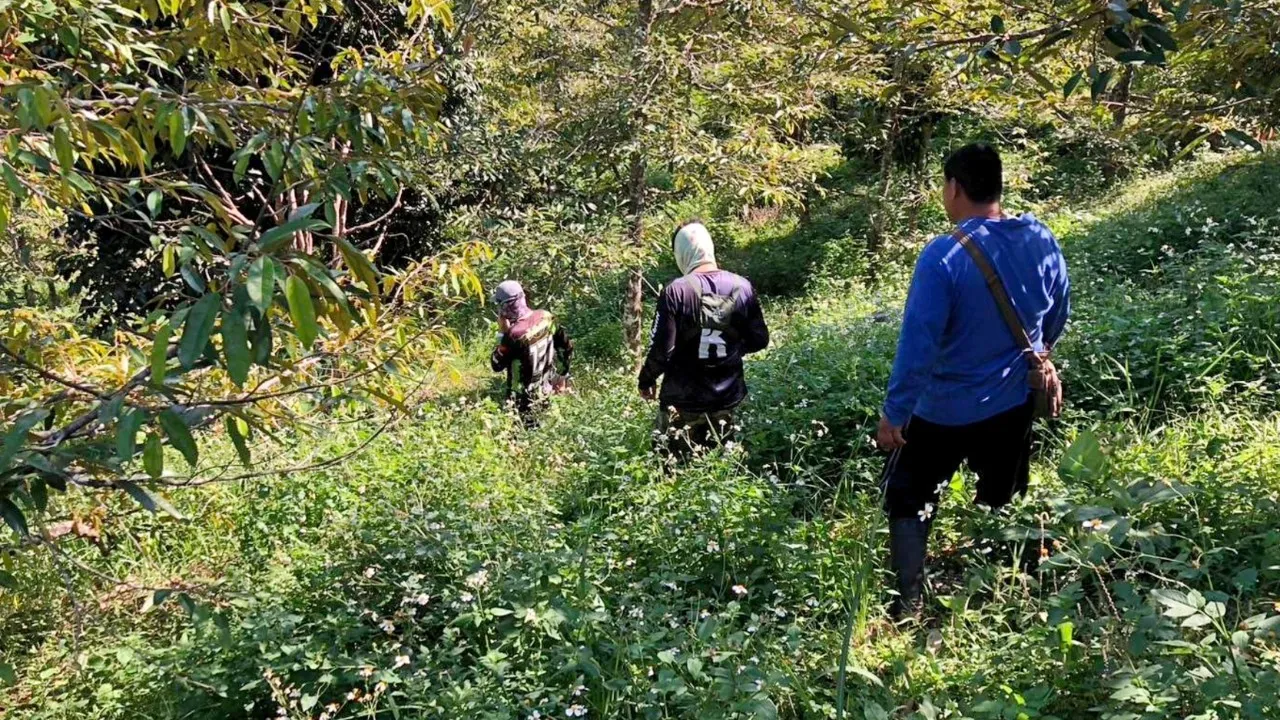 ผัวเมียเข้าสวนทุเรียน 4 วัน พบสามีเป็นศพ ส่วนภรรยาอัลไซเมอร์หายในป่า