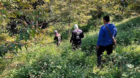 ผัวเมียเข้าสวนทุเรียน 4 วัน พบสามีเป็นศพ ส่วนภรรยาอัลไซเมอร์หายในป่า