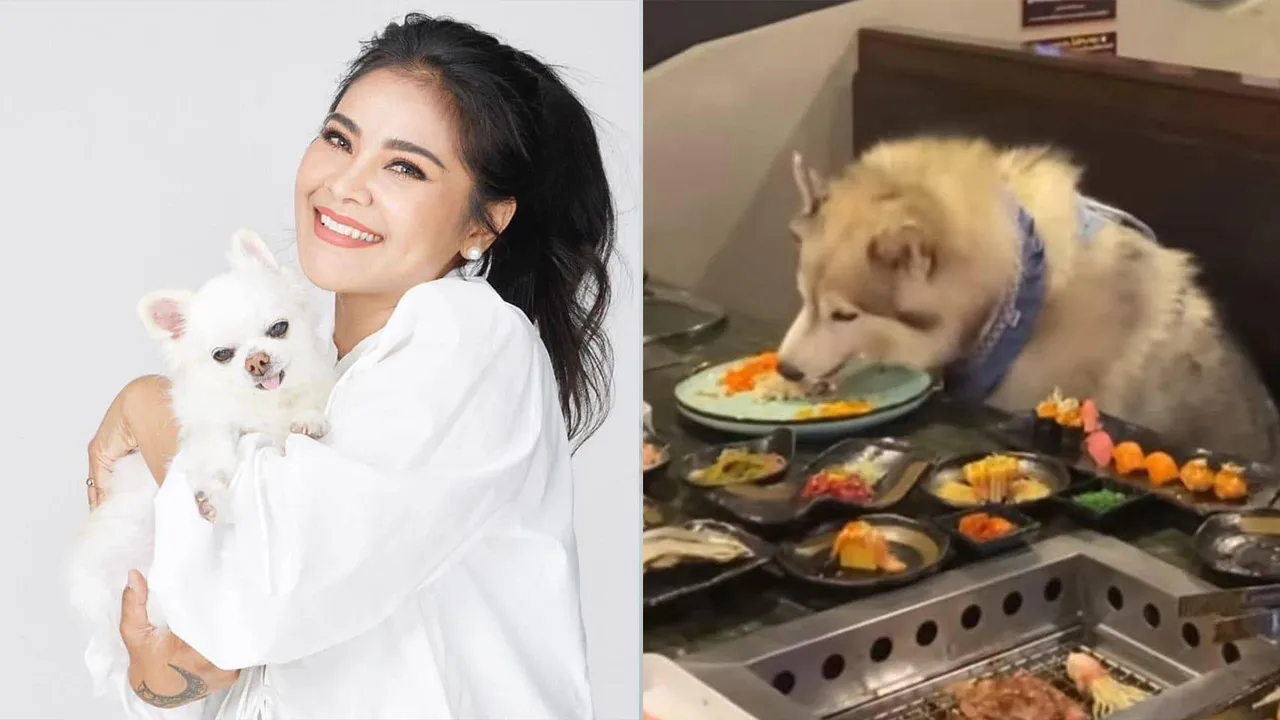 ตั๊ก ศิริพร ให้กำลังใจร้านอาหารเพื่อคนรักหมา หลังมีดราม่าคนพาน้องหมาไปกินบุฟเฟต์
