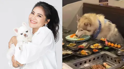 ตั๊ก ศิริพร ให้กำลังใจร้านอาหารเพื่อคนรักหมา หลังมีดราม่าคนพาน้องหมาไปกินบุฟเฟต์