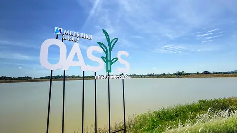 "มิตรผล โอเอซิส" โมเดลพลิกฟื้นแผ่นดินเพาะปลูก แก้แล้ง-ท่วมอย่างยั่งยืน คืนชีวิตเกษตรกรไทย