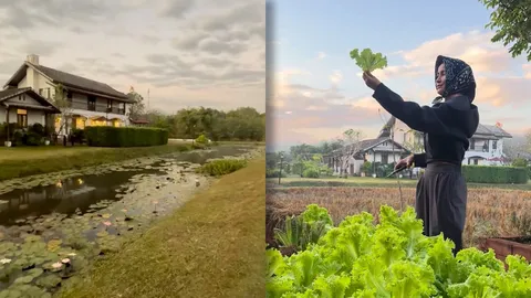 แอน ทองประสม อวดบ้านนา ใช้ชีวิตเรียบง่าย เก็บผัก-เก็บไข่เป็ด บรรยากาศดีน่าอยู่มาก