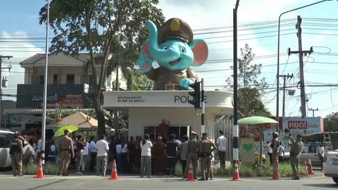 ฮือฮา ป้อมตำรวจเขาใหญ่โฉมใหม่ หัวช้างน้อยสุดน่ารัก โบกมือทักทายนักท่องเที่ยว