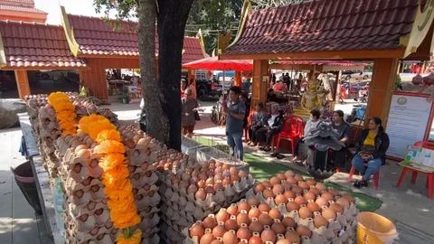 คู่นักธุรกิจอสังหาฯ ถวายไข่ไก่แก้บน 5,000 ฟอง แบ่ง "เลขเด็ด" ลุ้นโชครับปีใหม่