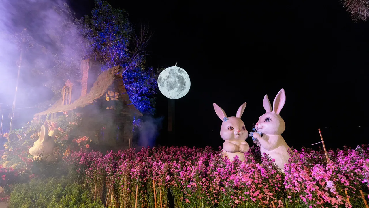 ชวนเช็กอินพะเยา เที่ยวงานเคานต์ดาวน์ยิ่งใหญ่ริมกว๊าน ชมทุ่งดอกไม้แสงสีตระการตา 28-31 ธ.ค. นี้