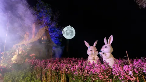 ชวนเช็กอินพะเยา เที่ยวงานเคานต์ดาวน์ยิ่งใหญ่ริมกว๊าน ชมทุ่งดอกไม้แสงสีตระการตา 28-31 ธ.ค. นี้