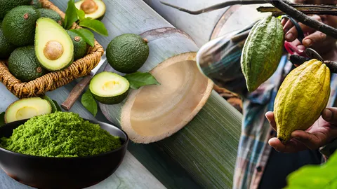 10 พืชเศรษฐกิจใหม่ ดาวรุ่งปี 2569 เกษตรกรปลูกได้ทำเงินดี 