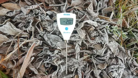 ดอยอินทนนท์ หนาวจัดต่อเนื่องติดลบ 0.5-2.0 องศาฯ เกิดเหมยขาบขาวโพลน