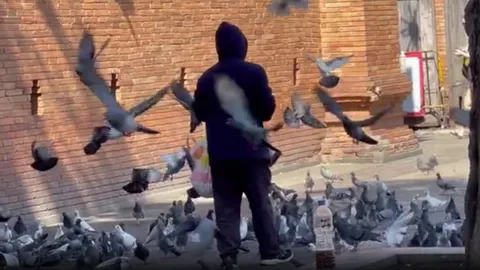 ยิงจับยิ่งขาย แก๊งขายอาหารนกพิราบ กลับมาแล้ว แถมโปรยอาหารล่อนกรวมฝูงนับพันๆ ตัว