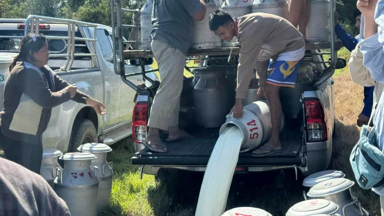 อ.ส.ค. รับซื้อน้ำนมดิบ แก้ปัญหาเกษตรกรเทนมทิ้ง 