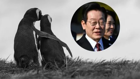 ผู้นำเกาหลีใต้ใช้ภาพเพนกวิน ส่งสัญญาณถึงคิม จองอึน หวังกอดคอคลี่คลายคาบสมุทรเกาหลี
