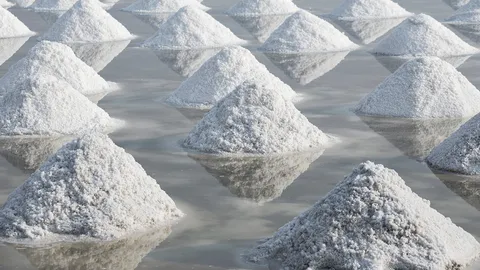 ก.เกษตรฯ ตั้งทีมเฉพาะกิจแก้เกลือทะเล ชู 4 มาตรการดึงราคา-เพิ่มมูลค่า ยกระดับรายได้ยั่งยืน