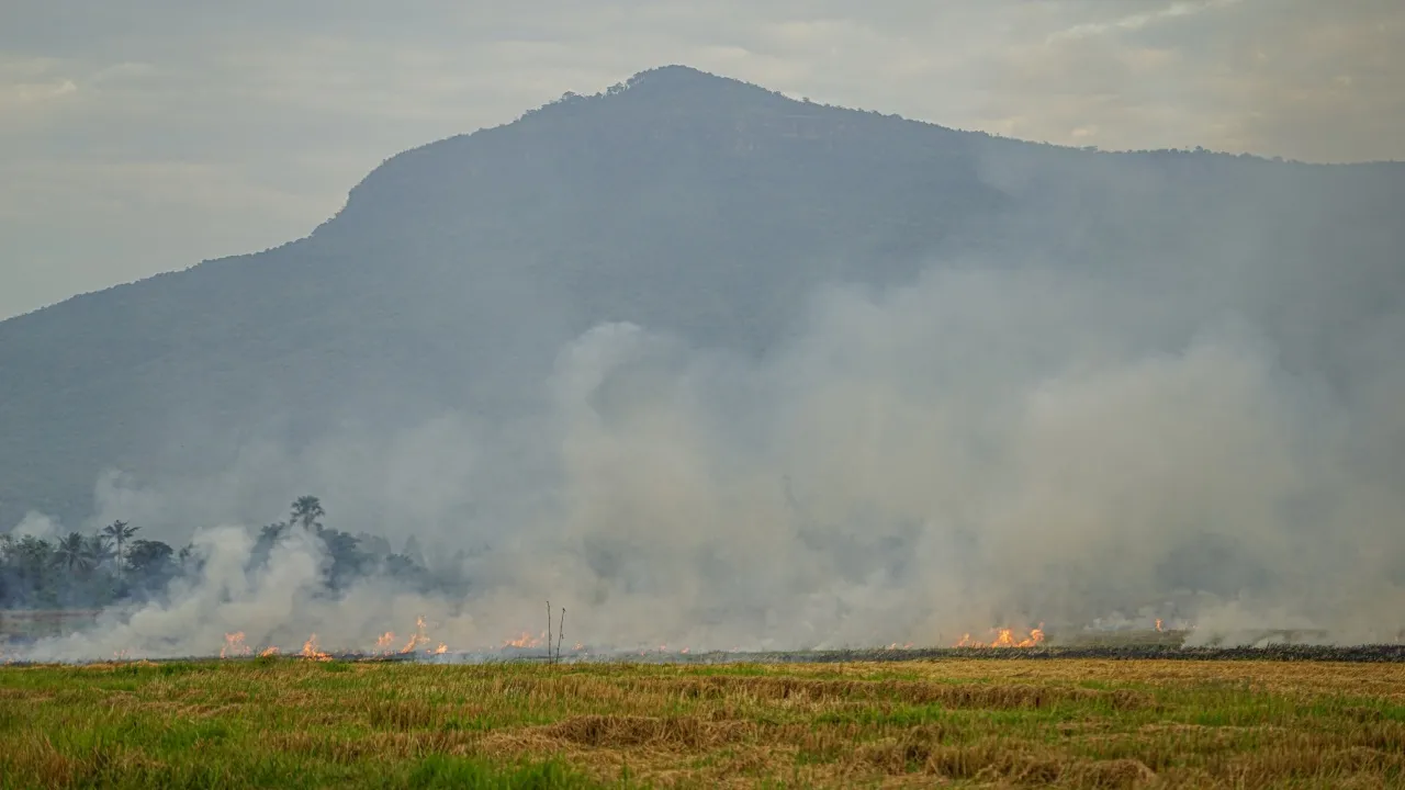 ชู 4 มาตรการ แก้ไขการเผาในพื้นที่เกษตรกรรม ลดปัญหามลพิษทางอากาศ