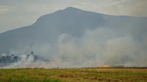 ชู 4 มาตรการ แก้ไขการเผาในพื้นที่เกษตรกรรม ลดปัญหามลพิษทางอากาศ