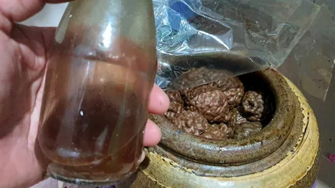 "ยาผีบอก" สู้โรคภัยยามทุกข์ เส้นบางๆ ปาฏิหาริย์-ความเชื่อ