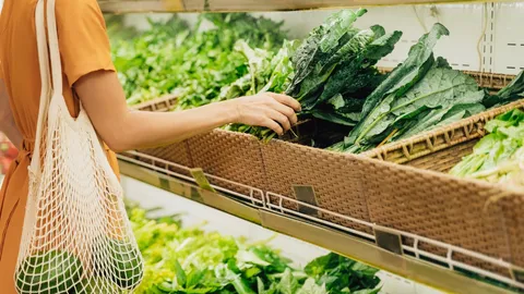 เปิดความลับ “ผักใบเขียว” กินทุกวันช่วยอะไร สารอาหารจัดเต็ม ต้านโรค-บำรุงสมอง