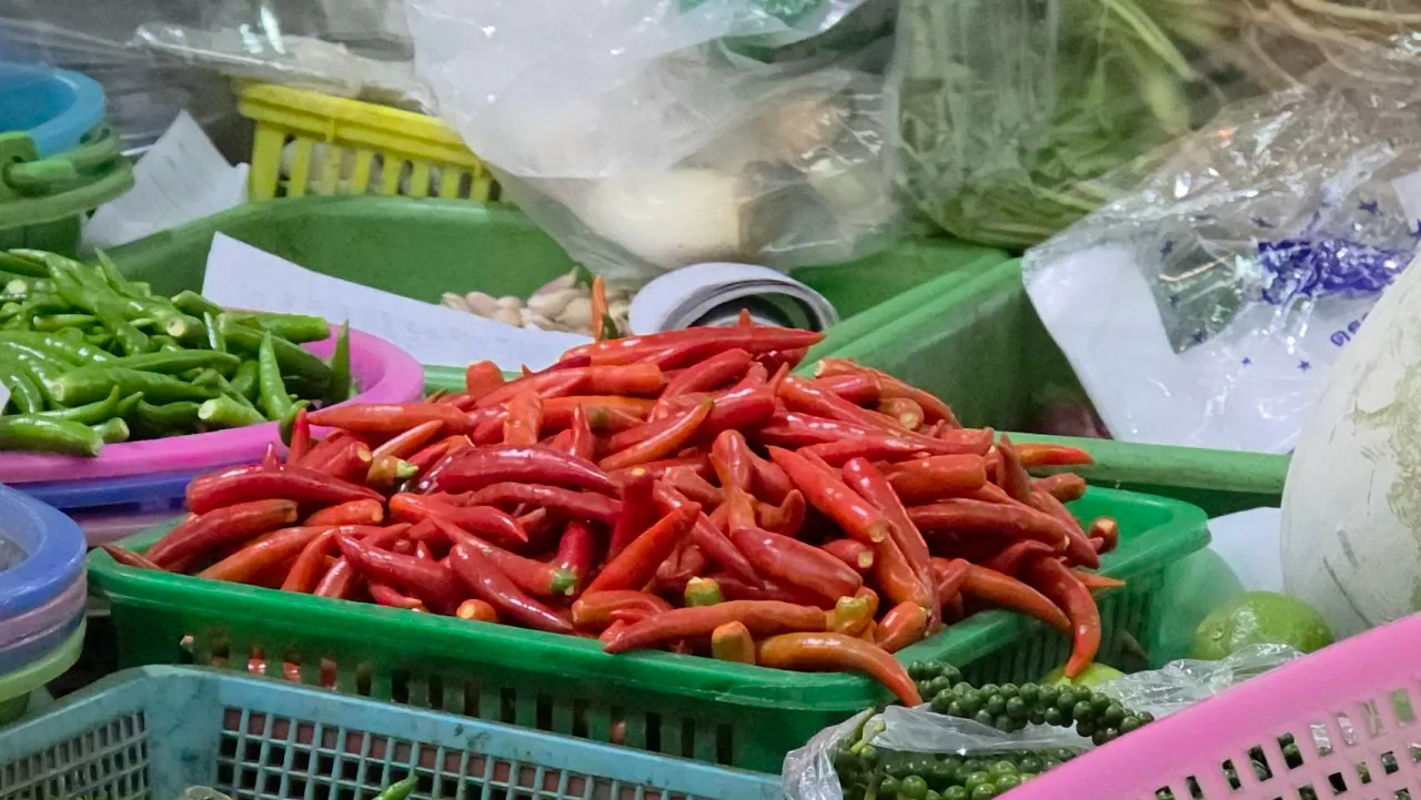 พริกจินดาแดง ราคาพุ่ง กิโลละ 280 บาท แม่ค้าโอด แพงแซงเนื้อหมู